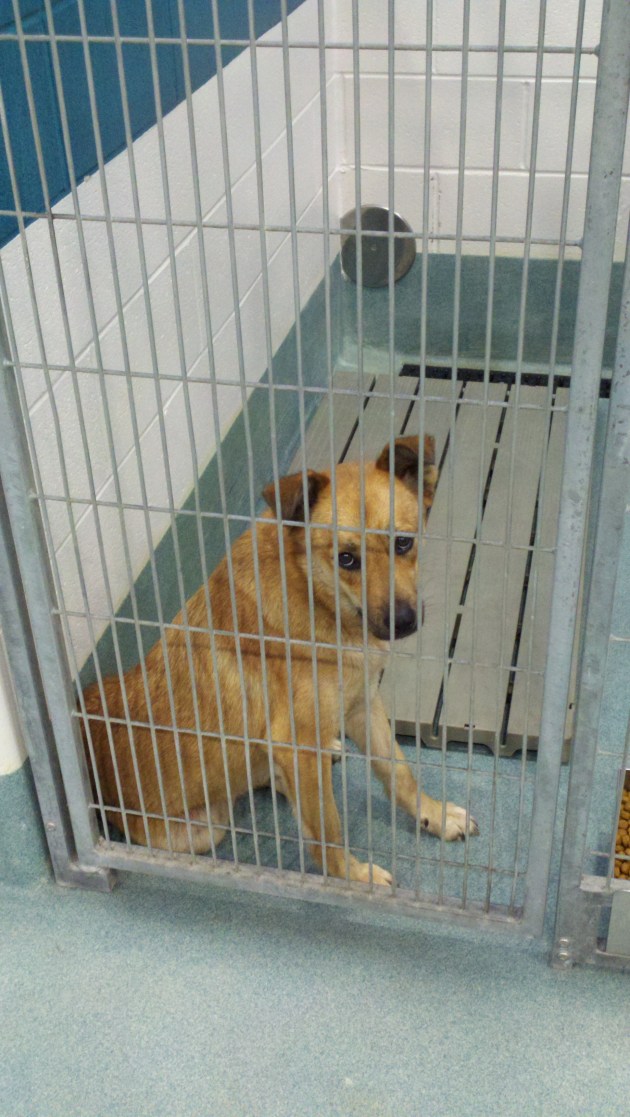 2012-07-12_18-01-23_290