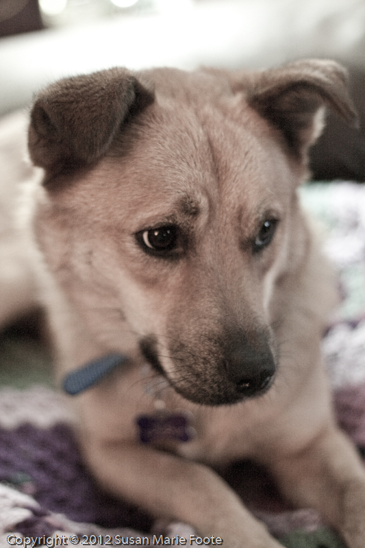 Sookie_7447_1stNight_20120712_2958