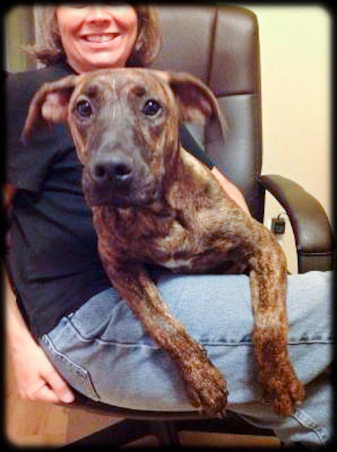 Forest 72096_20120929_3