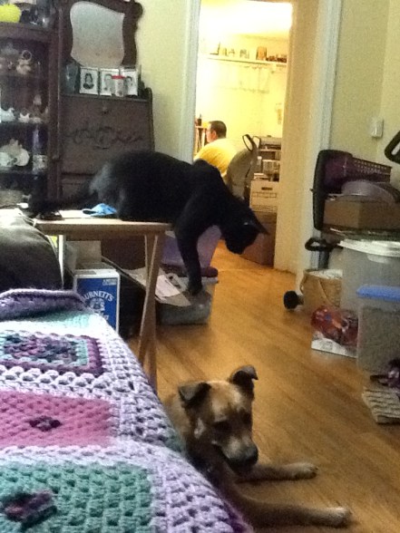 An attack from above