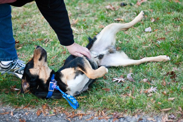 8169700825_a76021279f_c