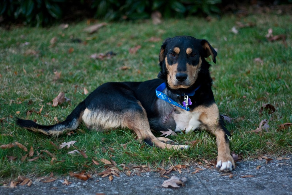 Milton (a.k.a. Flint #80000)