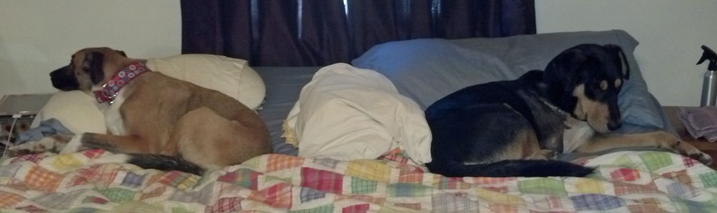 Each with their own side