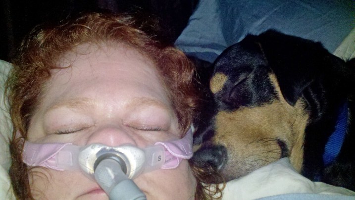 2012-11-19_00-57-34_829