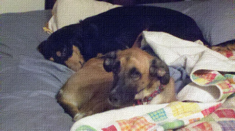 We no understand, momma.