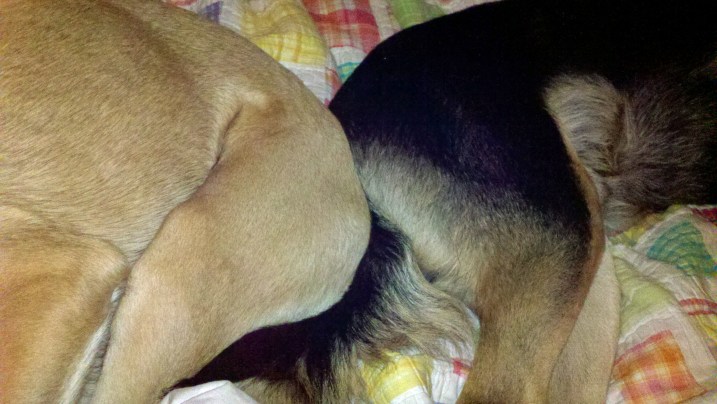 2012-11-30_23-06-56_627