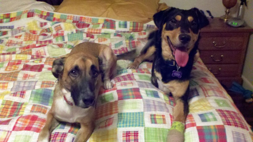 Ruby and Milton (WCAC ID 80000)