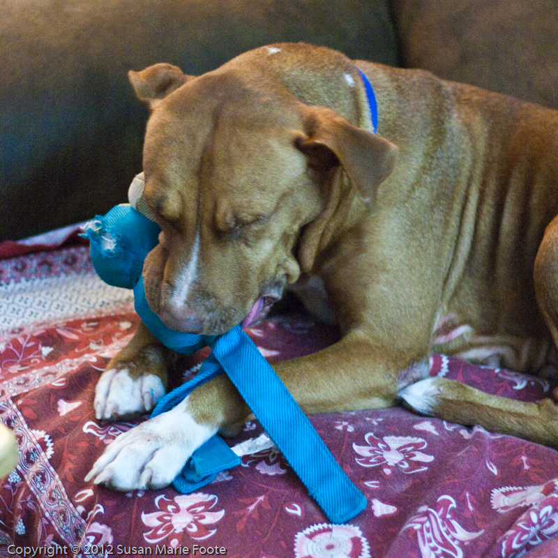 Kay-Kay Chewing_20130115_8981