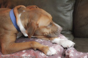 okay, and just one more