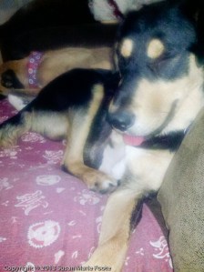 love how Milton's tongue is peeking out