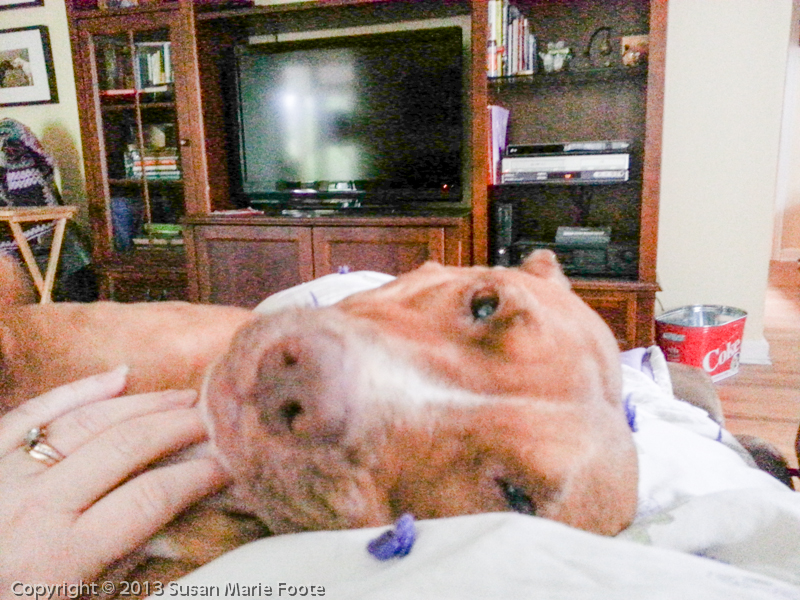 Khayla-79856_Droid_Photos & Videos_084651