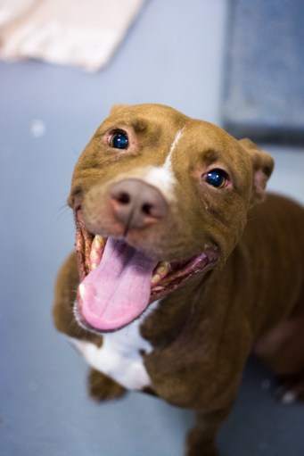 Bumpy-90645_20131111_0009