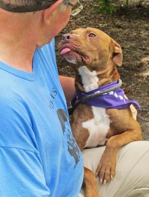 Bumpy (WCAC ID: 90645)