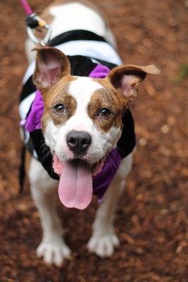 Charo (WCAC ID: 90561)