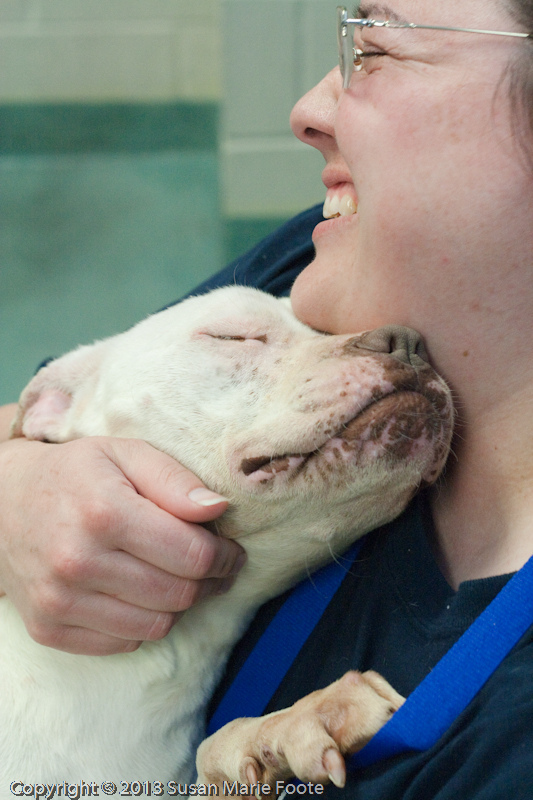 8760478466_ce3239da12_c