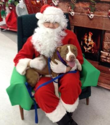 Boots (WCAC ID: 73418)