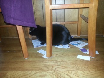 Tic Tac creates his own chaos.