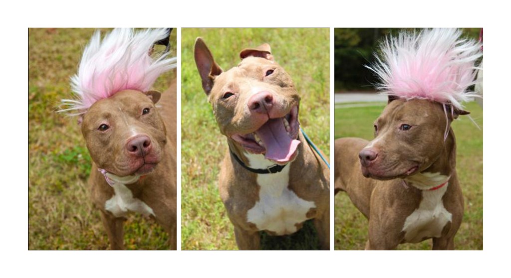 Wezzy-pink-headdress