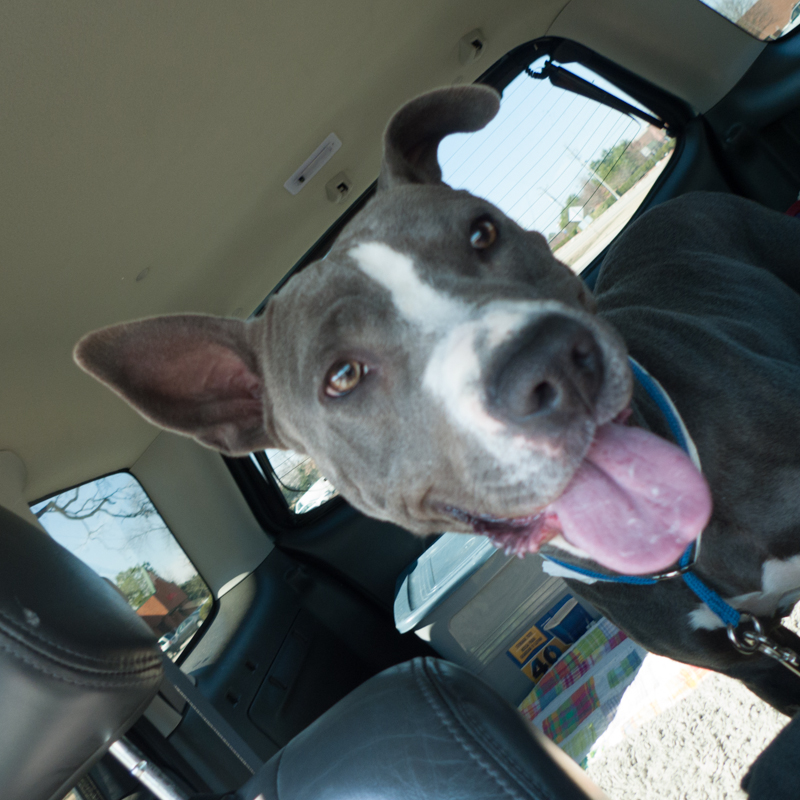 Munica (WCAC ID: 98502)