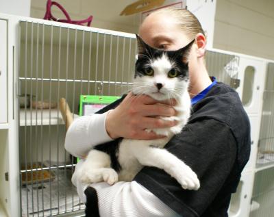 Ktulu (WCAC ID: 99804)