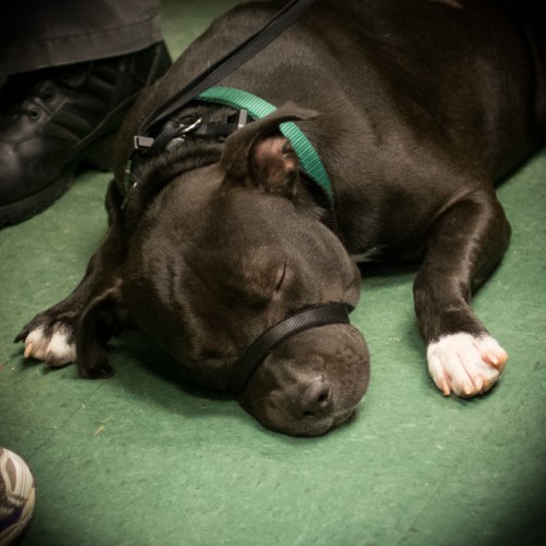 103142-Cubby_20140718_0066