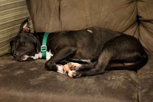 103142-Cubby_20140718_0323