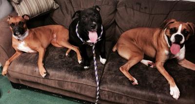 Cubby (WCAC ID: 103142)