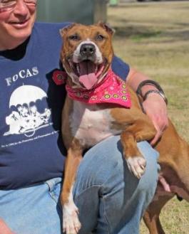 Leia (WCAC ID: 100115)