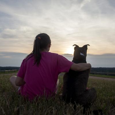 Lovey (WCAC ID: 73381)