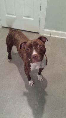 November (WCAC ID: 60405)