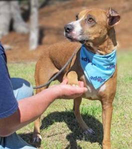 Rico Love (WCAC ID: 101148)