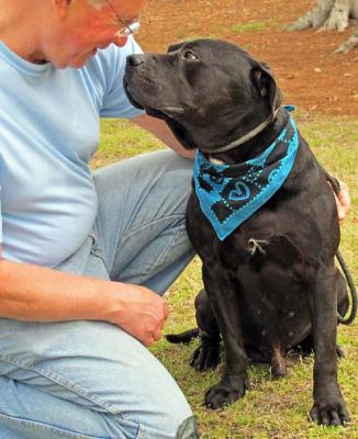 Tyson (WCAC ID: 101250)