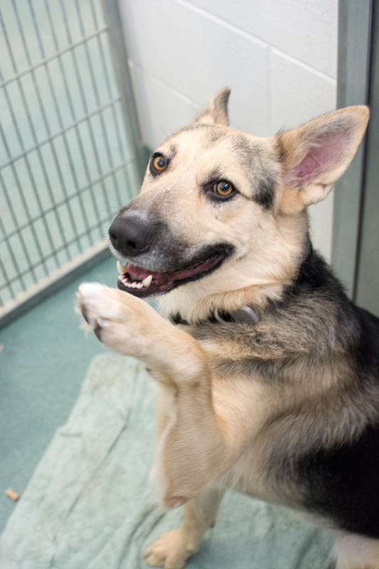 What are you doing this&nbsp;weekend?