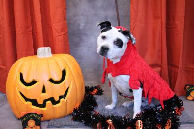 Clyde Davis (WCAC ID: 106689)