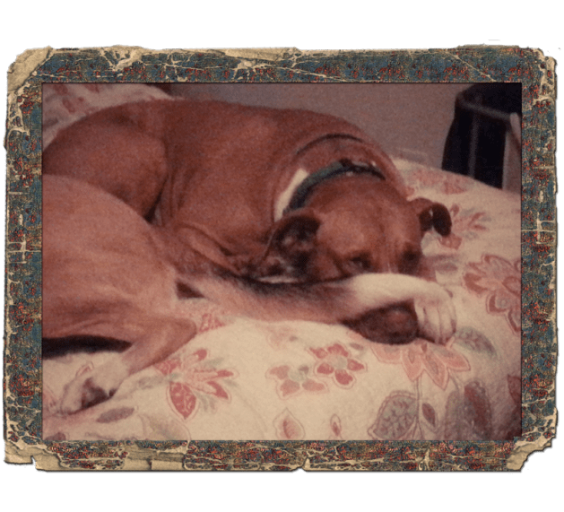 Tail-Hiding_2014-10-08 07.51.34