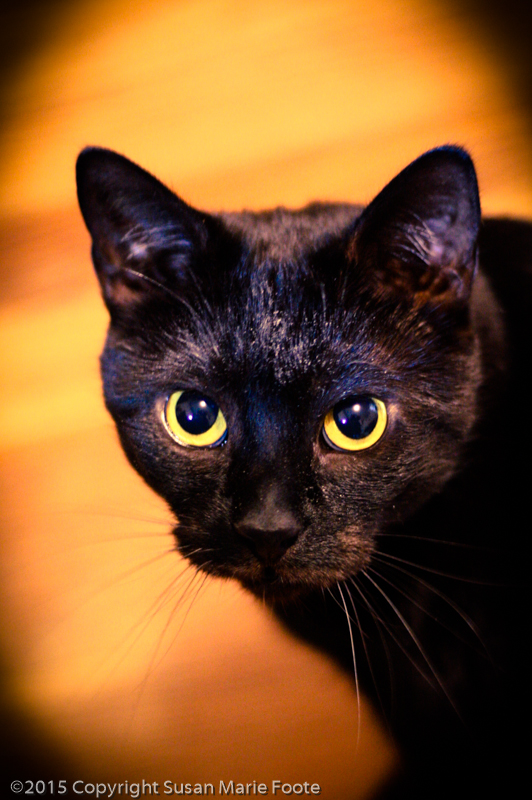 Tic-Tac_20150801_0002