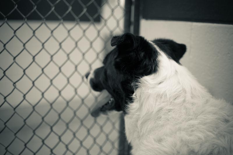 122380-Sophie_20150910_0048