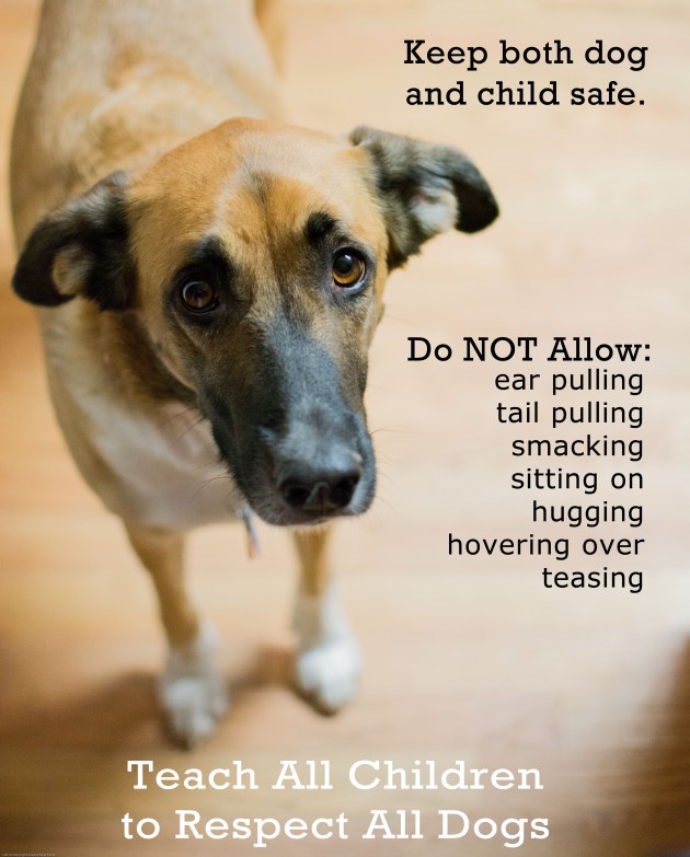 Children & Dogs_edited-1