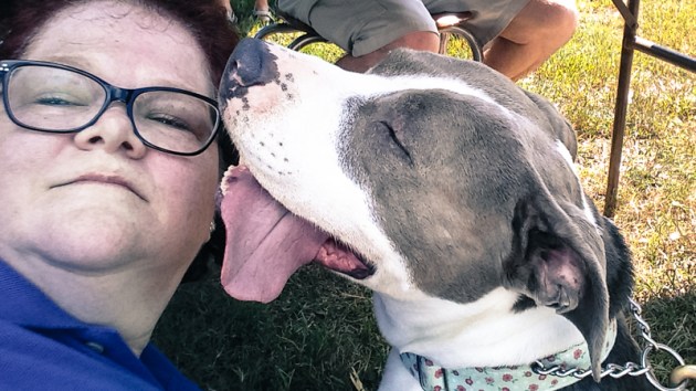 Tulip_2015-09-19 11.49.32