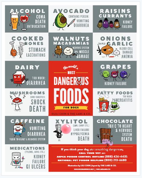DangerousFoods